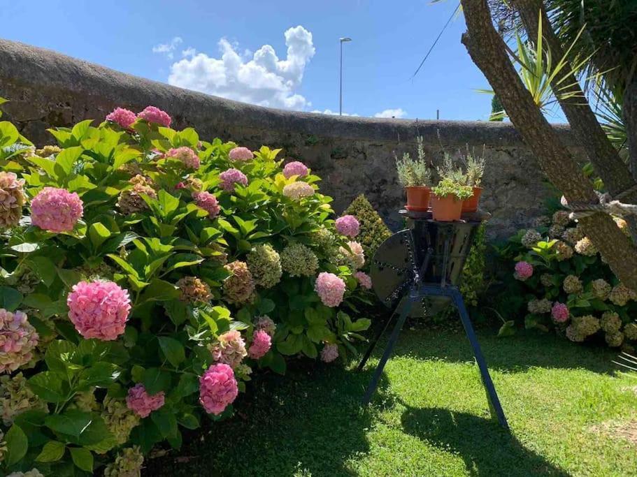 Apartamento Con Jardin Santander Eksteriør bilde